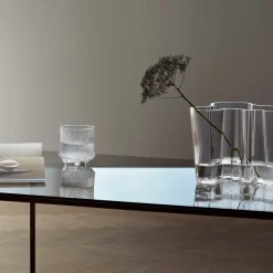 Vases^Iittala Aalto duo vase, clear Transparent