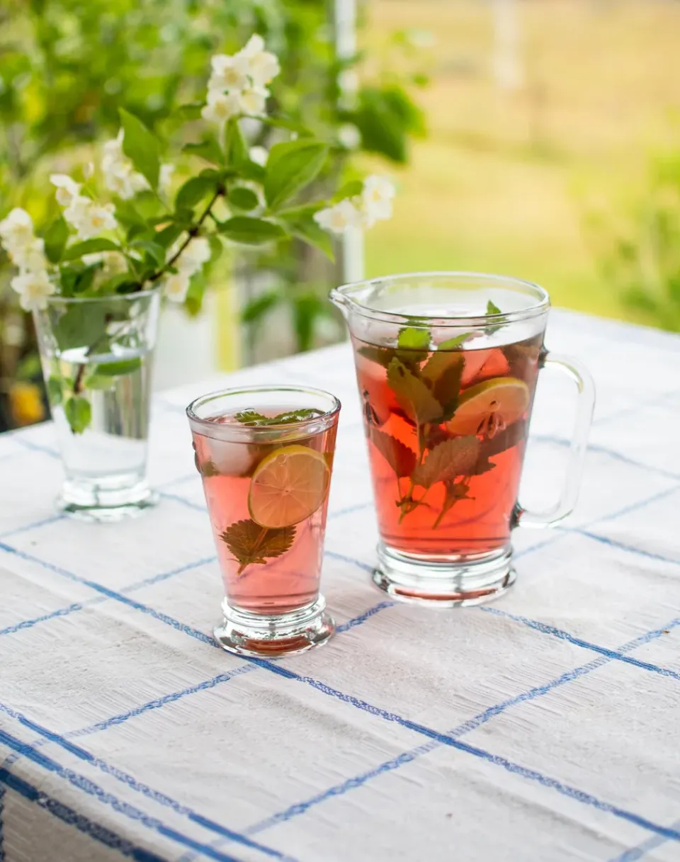 Long Drink & Highball Glasses^La Rochère Abeille longdrink glass 31 cl 6-pack, Clear Transparent