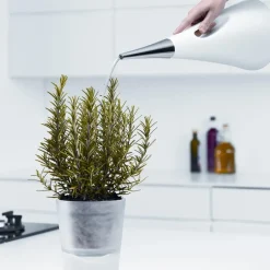 Outlet Eva Solo AquaStar Watering can, White