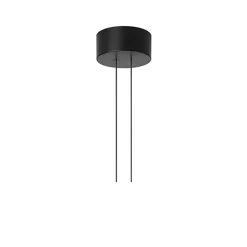 Hot Flos Arrangement Rose ceiling cup, , small Black