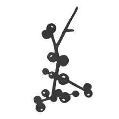 Trivets^Pluto Design Berry trivet, Black