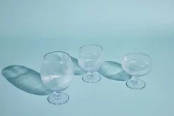 Plastic Glasses|Wine Glasses^Sagaform Billi wine glass 35 cl, 2-pack Transparent