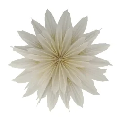 Best Scandi Living Brisk Advent star, Ø50 cm Beige