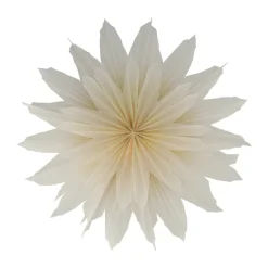 Best Scandi Living Brisk Advent star, Ø50 cm Beige