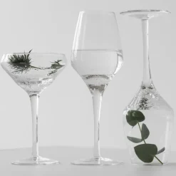 Champagne Glasses^Byon Bubbles champagne glass wide, 26 cl Transparent