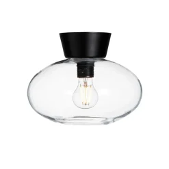 Online Belid Bulllo ceiling lamp clear glass Ø27 cm, matte Black