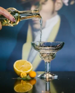 La Rochère Chicago cocktail glasses 6-pack, 21 cl Transparent
