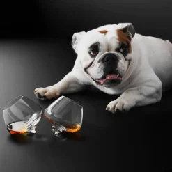 Outlet Normann Copenhagen Cognac glass 25 cl, set of 2 Transparent