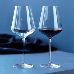 Wine Glasses^Aida Connoisseur Extravagant red wine glass 64.5 cl 4-pack, Clear Transparent