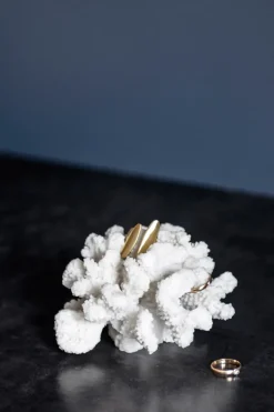 Sculptures & Porcelain Figurines^Mette Ditmer Coral branches , Small White
