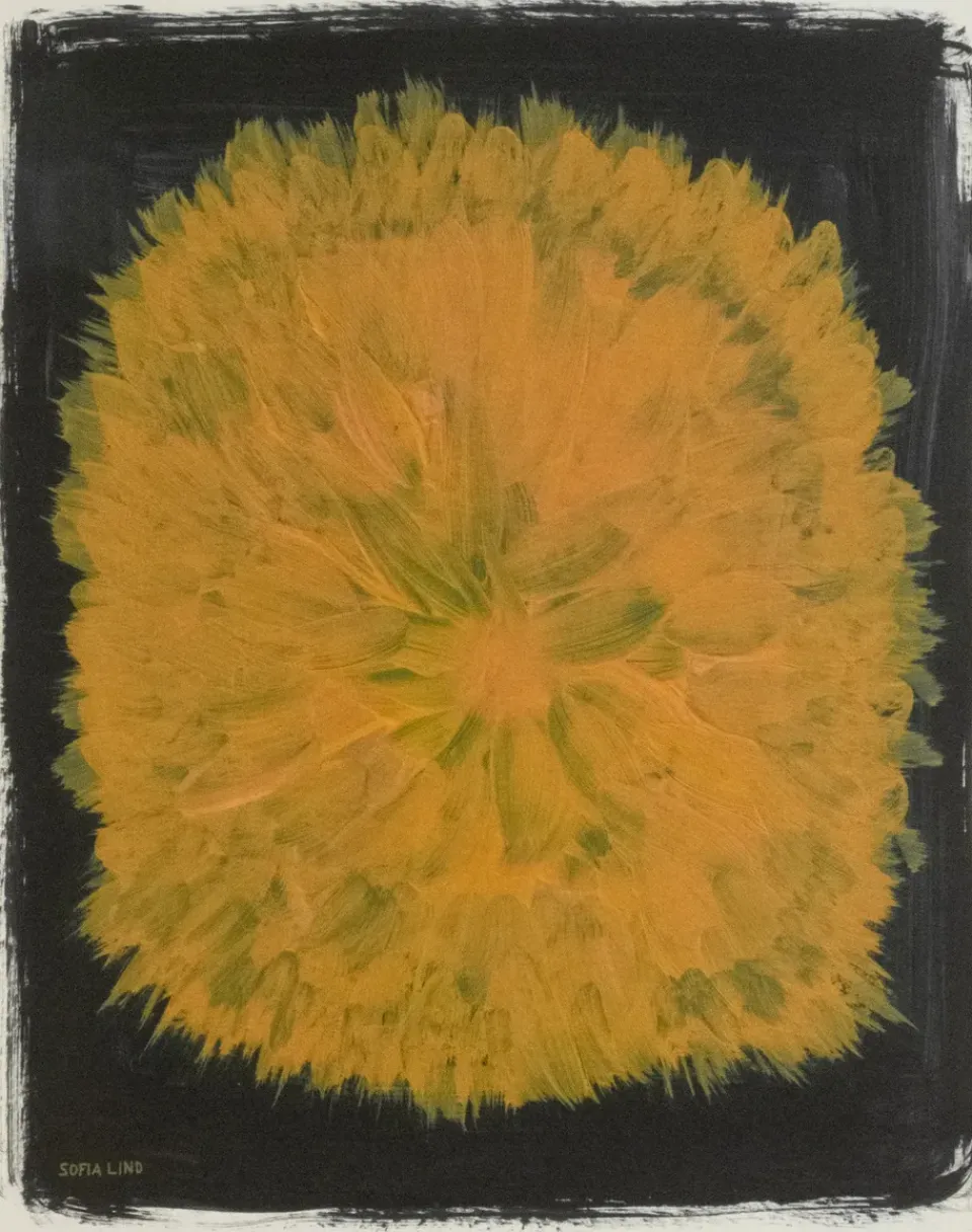 Fine Little Day Dandelion poster 40x50 cm, Yellow-black YellowBlack