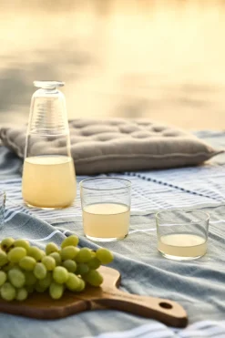 Drinking Glasses & Tumblers^Scandi Living Day to Day drinking glass, 22 cl Transparent