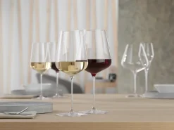 Wine Glasses^Spiegelau Definition red wine glass/white wine glass 55 cl 2-pack, Clear Transparent