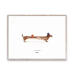 Posters^Paper Collective Doug the Dachshund poster, 30x40 cm WhiteBeige