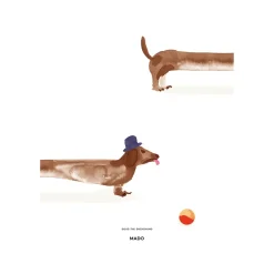 New Paper Collective Doug the Dachshund poster, 50x70 cm WhiteBeige