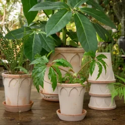 Flower Pots^Bergs Potter Elizabeth flower pot Ø12 cm, rose Pink