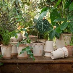 Clearance Bergs Potter Elizabeth flower pot Ø18 cm, rose Pink