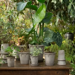 Flower Pots^Bergs Potter Elizabeth flower pot Ø12 cm, Grey