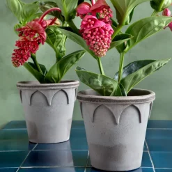 Bergs Potter Elizabeth flower pot Ø16 cm, Grey
