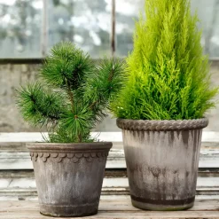 Clearance Bergs Potter Emilia flower pot 16 cm, Grey