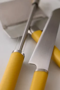 Best Rosti Emma cheese cutter 24 cm, Curry Yellow