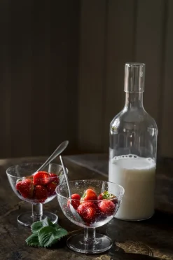 Dessert Bowls^ERNST bowl bubbly glass 2-pack, Clear Transparent
