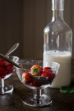 Dessert Bowls^ERNST bowl bubbly glass 2-pack, Clear Transparent