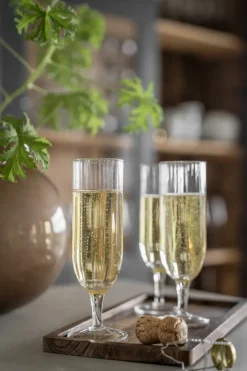 Champagne Glasses^ERNST champagne glass ribbed 2-pack, Clear Transparent