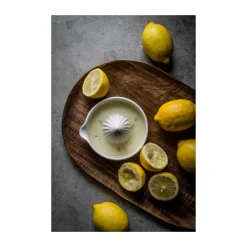 Citrus Presses^ERNST citrus press stoneware, White