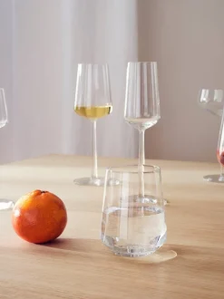 Discount Iittala Essence champagne glass 2-pack, clear 2-pack Transparent