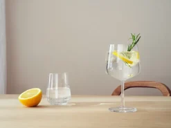 Cocktail & Martini Glasses|Long Drink & Highball Glasses^Iittala Essence gin & cocktail glass 2-pack, 63 cl Transparent