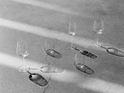Wine Glasses^Iittala Essence red wine glass 4-pack, 4-pack Transparent