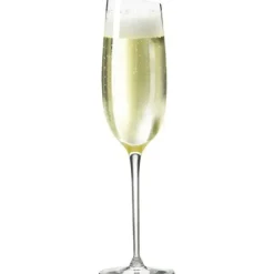 Sale Eva Solo champagne glass, 1-pack Transparent