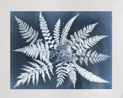 Posters^Fine Little Day Fern star poster, 40x50 cm BlackWhite
