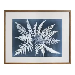 Posters^Fine Little Day Fern star poster, 40x50 cm BlackWhite
