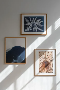 Posters^Fine Little Day Fern star poster, 40x50 cm BlackWhite