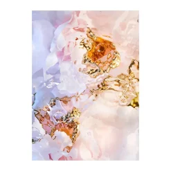 New Paper Collective Flora Aquatica 03 poster, 30x40 cm Multi