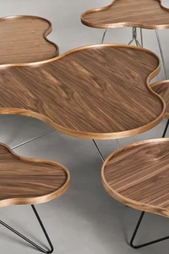 Outlet Swedese Flower mono table Special Edition 107x114 cm, H45 cm-lacquered walnut-black lacquered steel Brown