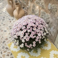 Discount Brita Sweden Flower rug sun (yellow), 70x150 cm YellowWhite