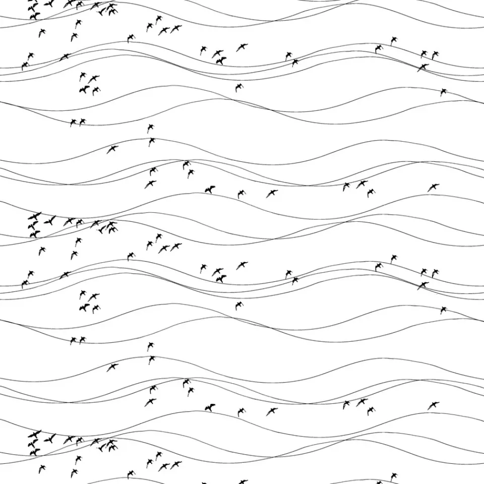 Fabric By The Metre^Arvidssons Textil Flyttfåglar fabric, black BlackWhite