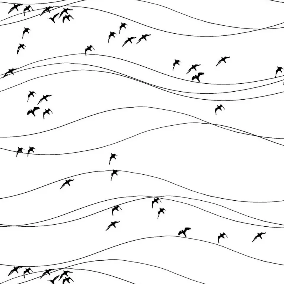 Fabric By The Metre^Arvidssons Textil Flyttfåglar fabric, black BlackWhite