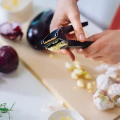 Online Fiskars Functional Form garlic press 24 cm, Black