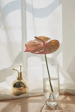 Best AYTM Globe plant sprayer, Gold Gold-coloured