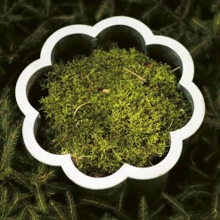 Garden Details & Accessories^Byarums bruk Gråsippa plant pot, Aluminum sand-casted, no. 2 Ø41 cm Silver-coloured