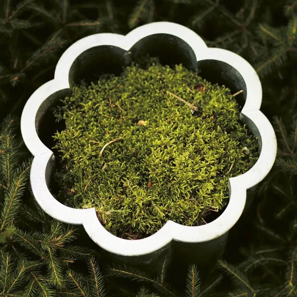 Garden Details & Accessories^Byarums bruk Gråsippa plant pot, Aluminum sand-casted, no. 2 Ø41 cm Silver-coloured