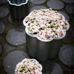 Garden Details & Accessories^Byarums bruk Gråsippa plant pot, Aluminum sand-casted, no. 2 Ø41 cm Silver-coloured
