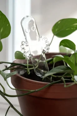 Watering Cans^Muurla Hattifattener watering glass, Transparent