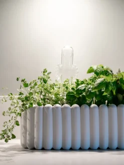 Watering Cans^Muurla Hattifattener watering glass, Transparent