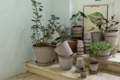 Flower Pots^Bergs Potter Helena flower pot Ø12 cm, Grey