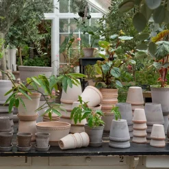 Flower Pots^Bergs Potter Helena flower pot Ø16 cm, Grey